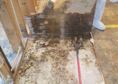 water damage restoration mold cleanup